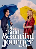 Big Bold Beautiful Journey
