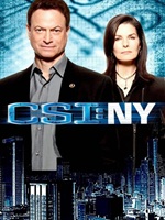 CSI New York