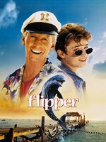 Flipper
