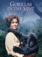 Gorillas in the Mist