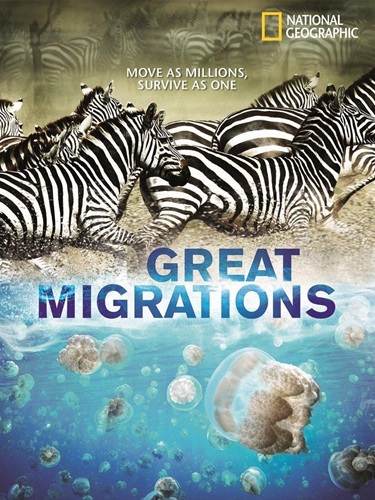 Great Migrations
