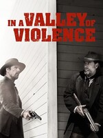 In A Valley Of Violence