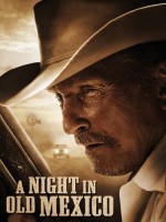 Night In Old Mexico
