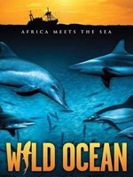 Wild Ocean